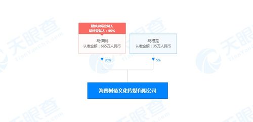 馬伊琍海南布局文化新賽道，成立文化傳媒公司拓展演出經(jīng)紀(jì)版圖